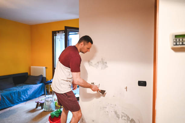 Best Residential Mold Removal  in Newton, AL
